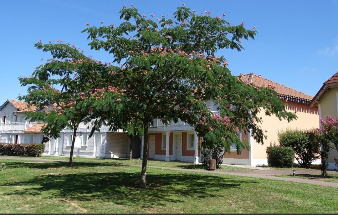 מרסיאק Appartement Au Calme Face Au Lac מראה חיצוני תמונה